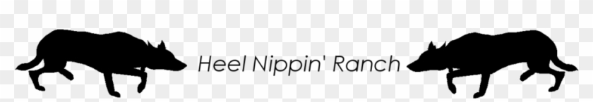 Heel Nippin' Ranch Logo By Icymountainkennels - Dairy Cow #1120357