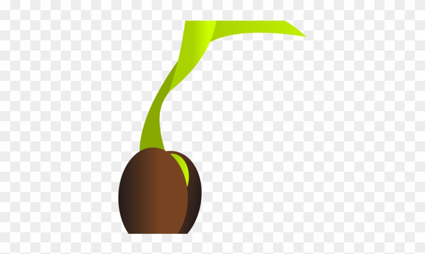 Seed #1120414