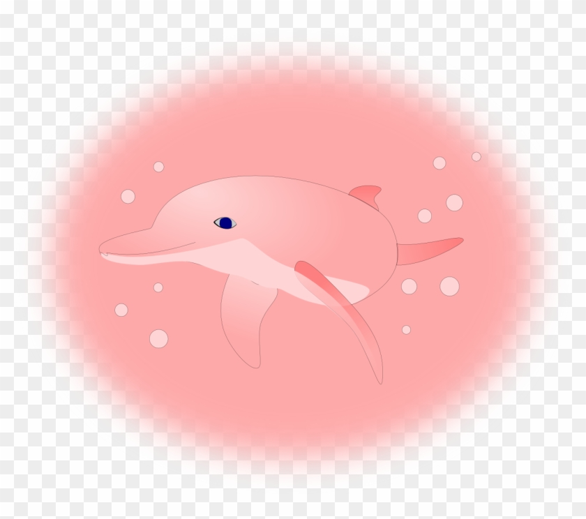 Pink Dolphin Wallpaper - Illustration #1121422