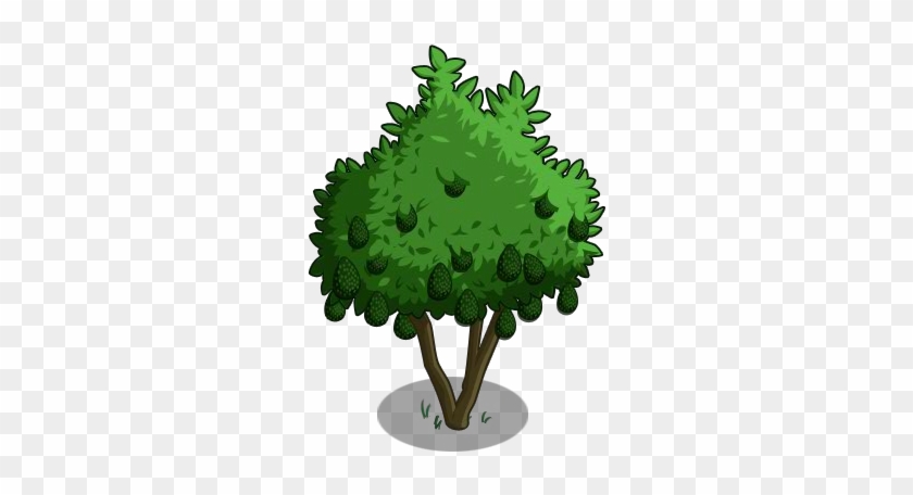 Avocado Tree 100-icon - Illustration #1121517