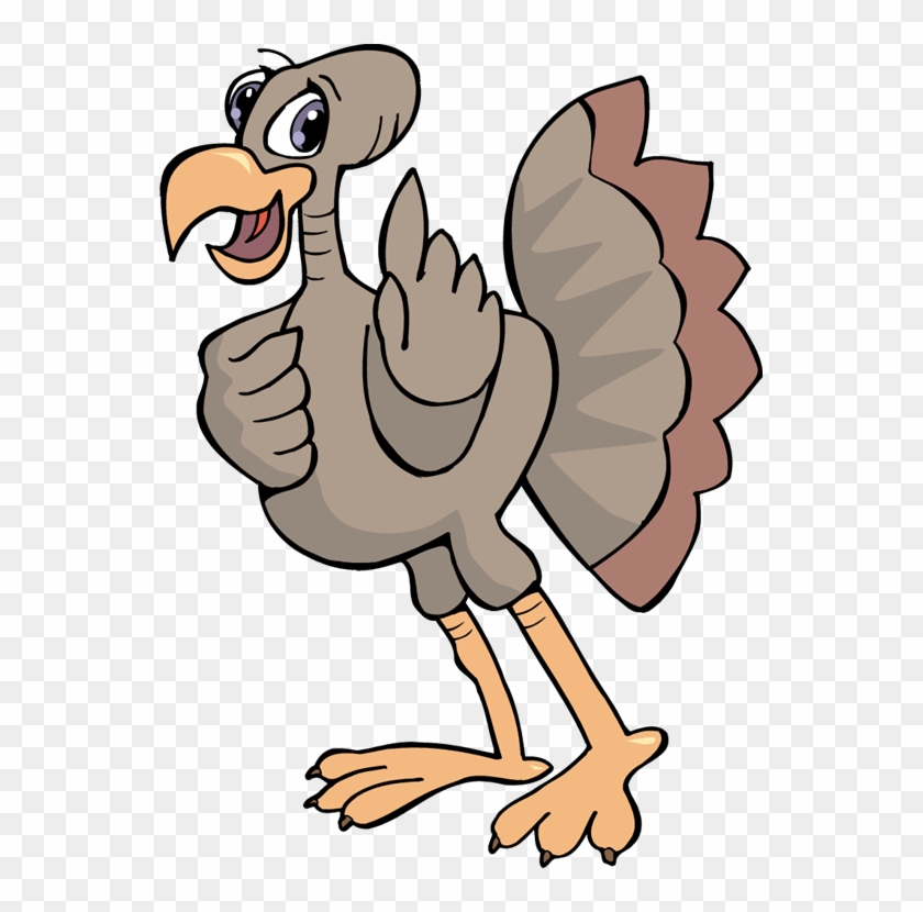 Turkey - Turkey #1121574