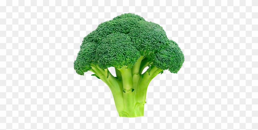 Broccoli - World Cup 2010 Ball #1122250