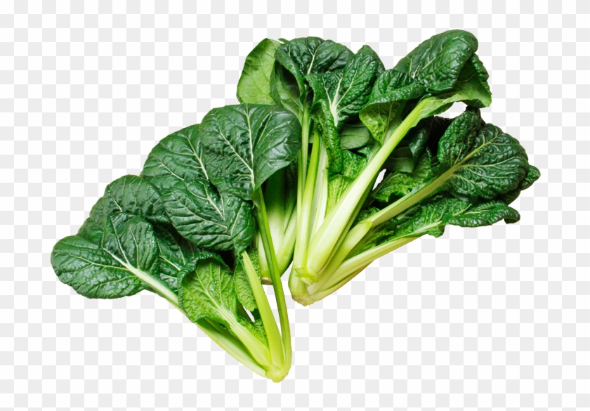 ちりめん美緑 - Leaf Vegetable #1122259