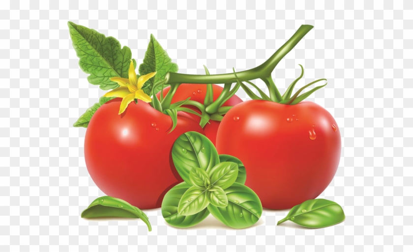 Tomato With Leaf Vector #1122304