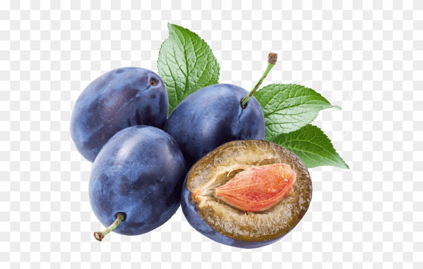 Bilberry #1122329