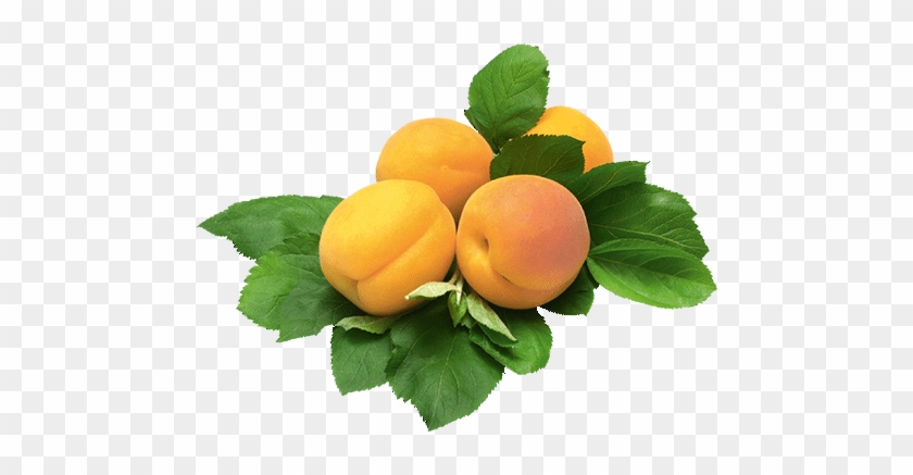 Mirabellen - Swanson Organic Certified Organic Turkish Apricots, #1122430