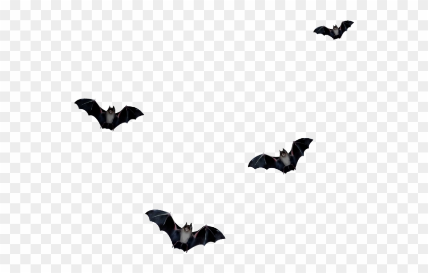Raster Graphics Editor Microbat Clip Art - Gifs De Murcielagos Con Movimiento #1122535
