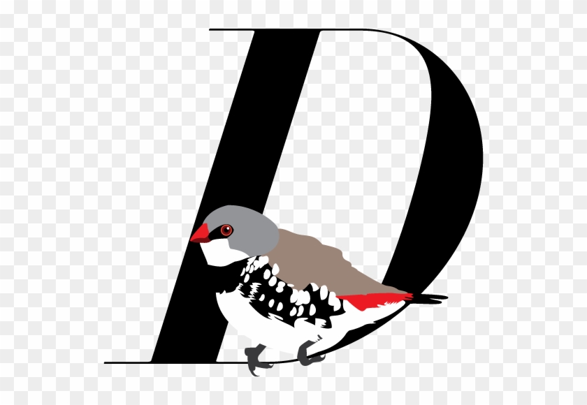 Bird #1122683