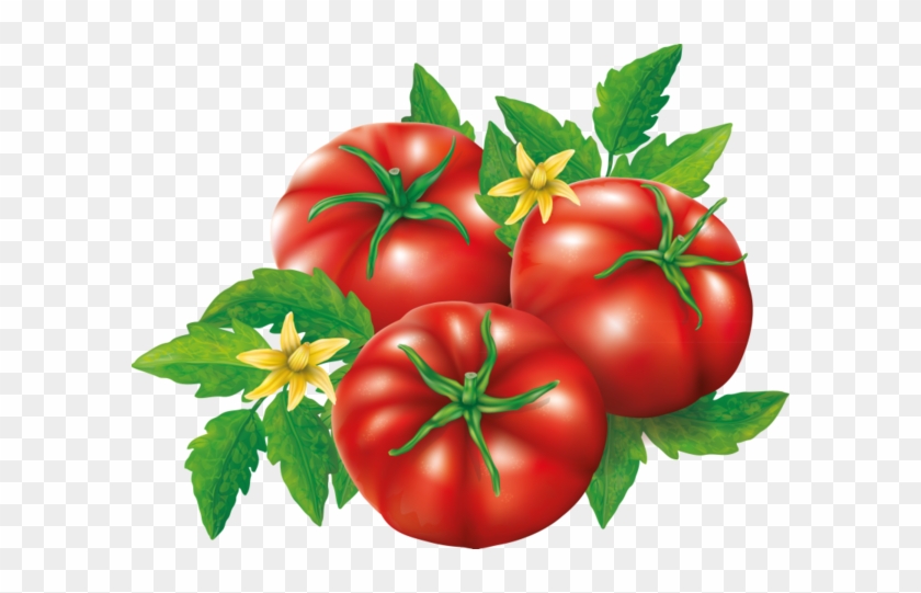 Clip Art - Fruit #1122712