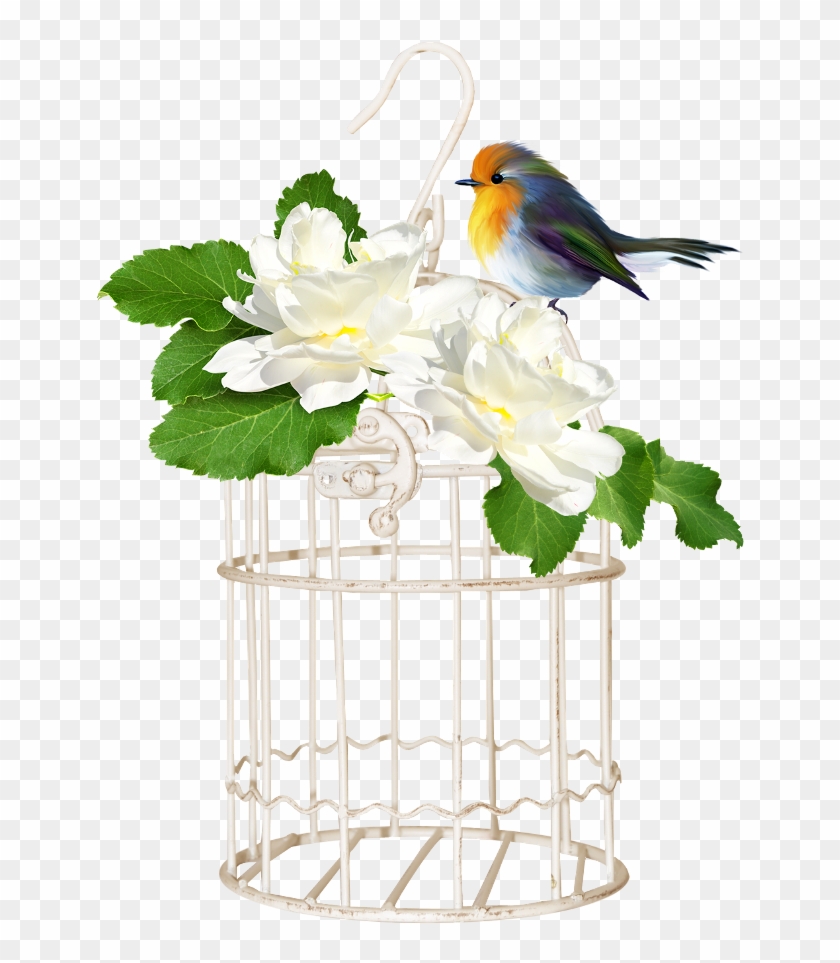 Bird Cage - Cage #1123040