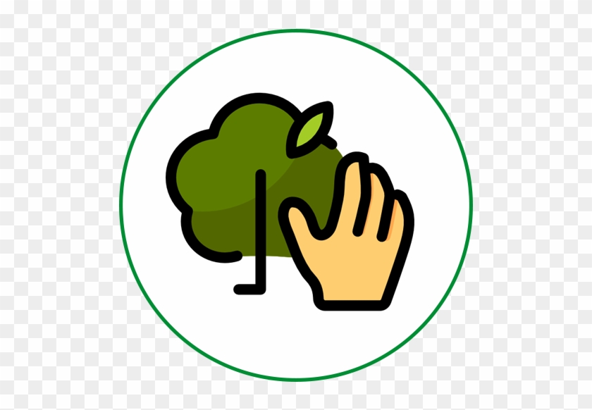 Ecologismo Vector Png #1124135