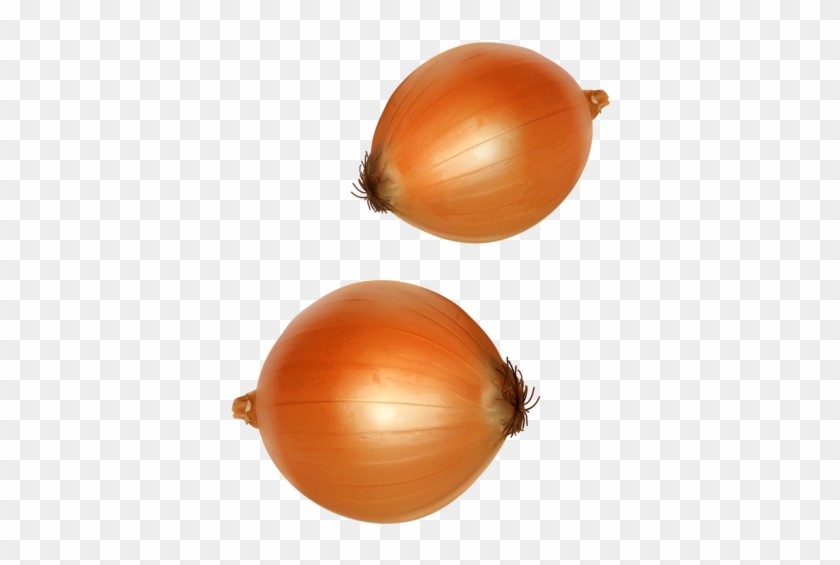 Clip Art - Food #1125214
