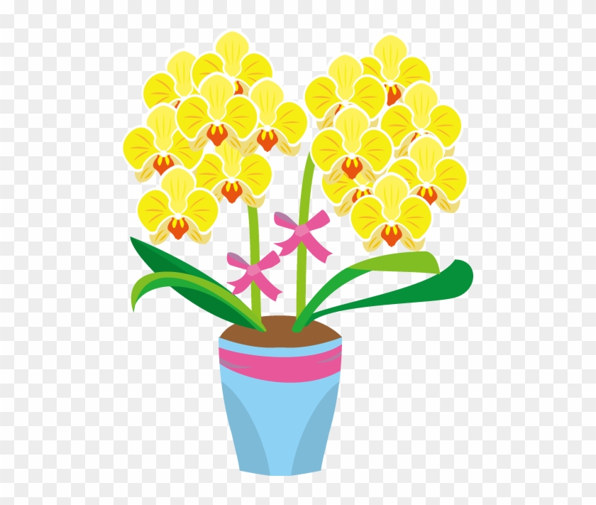 鉢植え04-胡蝶蘭イラスト - Phalaenopsis Aphrodite #1125713