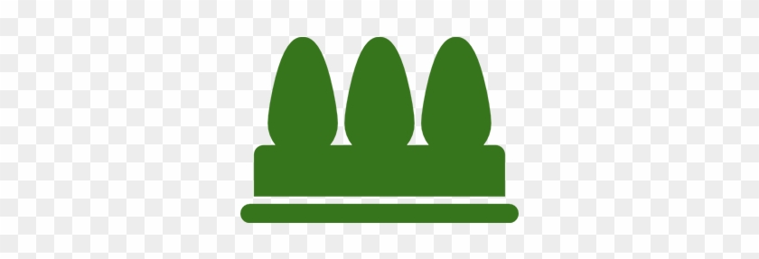 Shrub #1126113