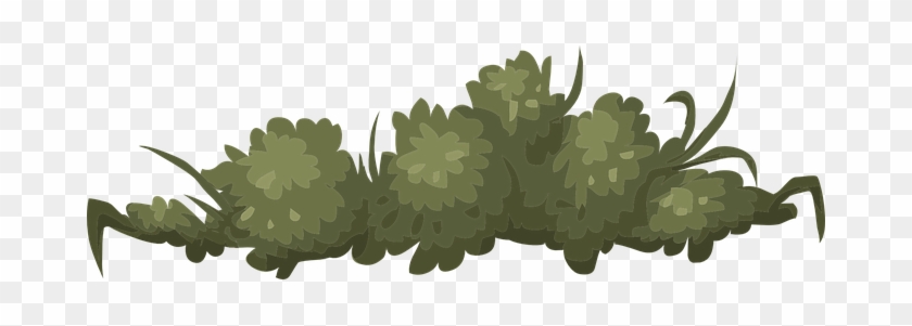 Bush Nature Green Leaves Outdoor Environme - Clip Art #1126137