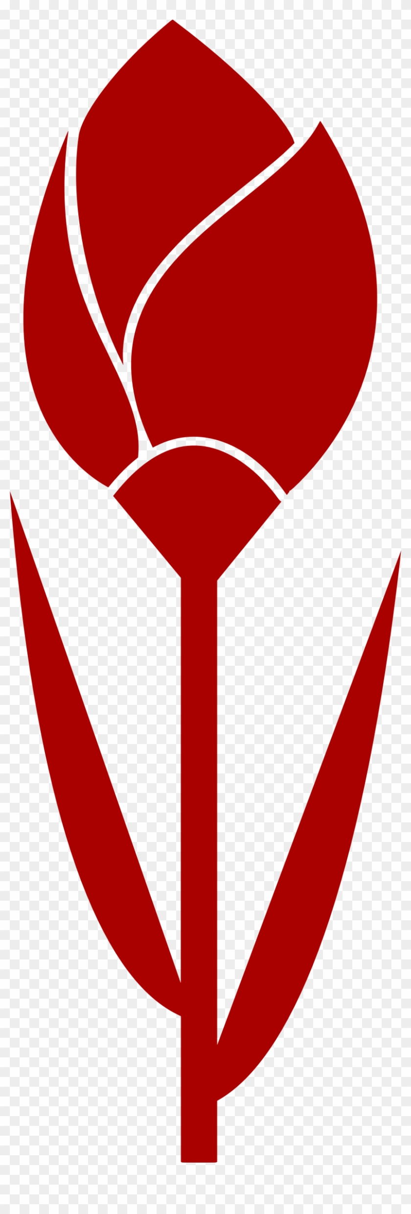 Tulip Vectorized - Tulip Vectorized #1126468
