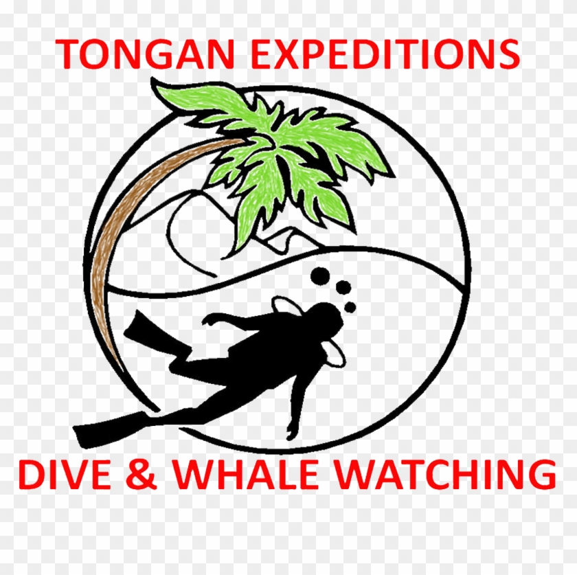 Diving Clipart Transparent - Maritim Diving Centre #1128693