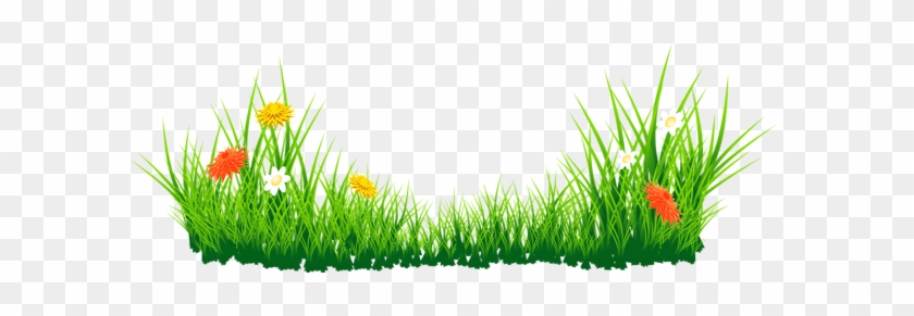 Flores Con Hierba Png Imagen - Grass Png Clipart #1128925