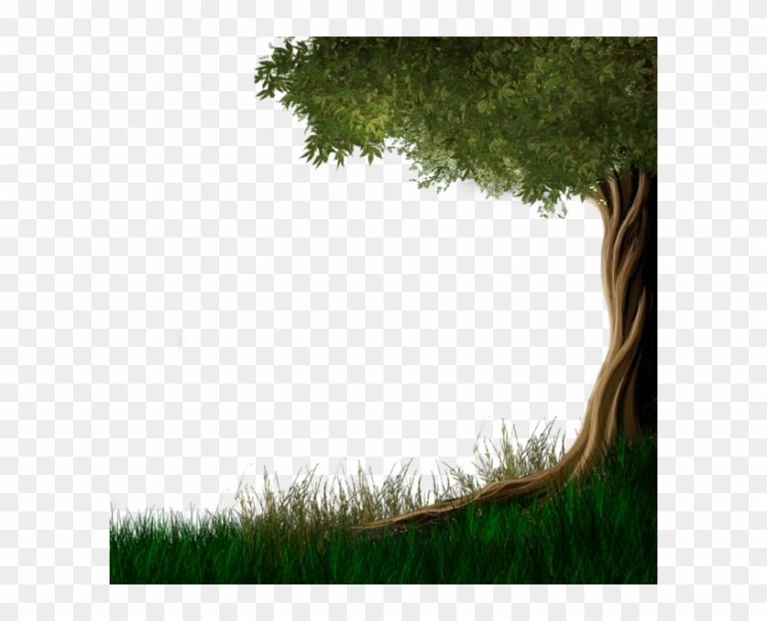 Arbre,png - Зеленая Трава На Прозрачном Фоне #1128934