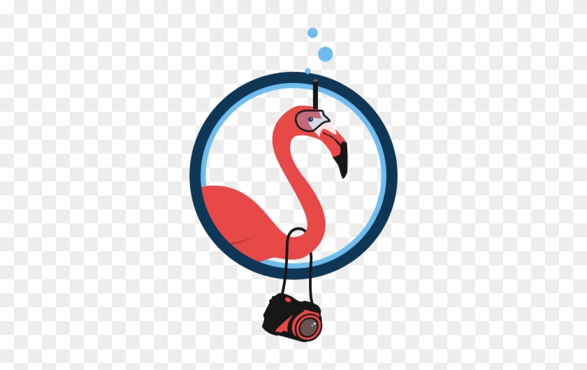 Flamingo Activities - Flamingo Activities #1131444
