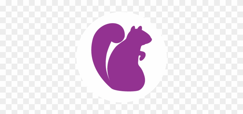 Purple Squirrel - Silhouette #1131619