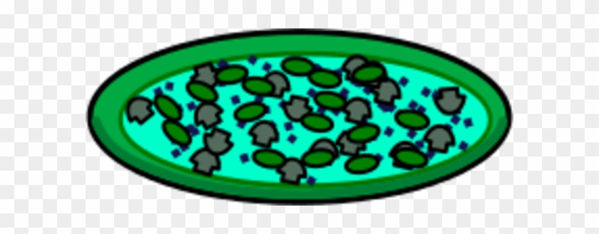 Rejon Pizza Clipart - Pizza #1133361