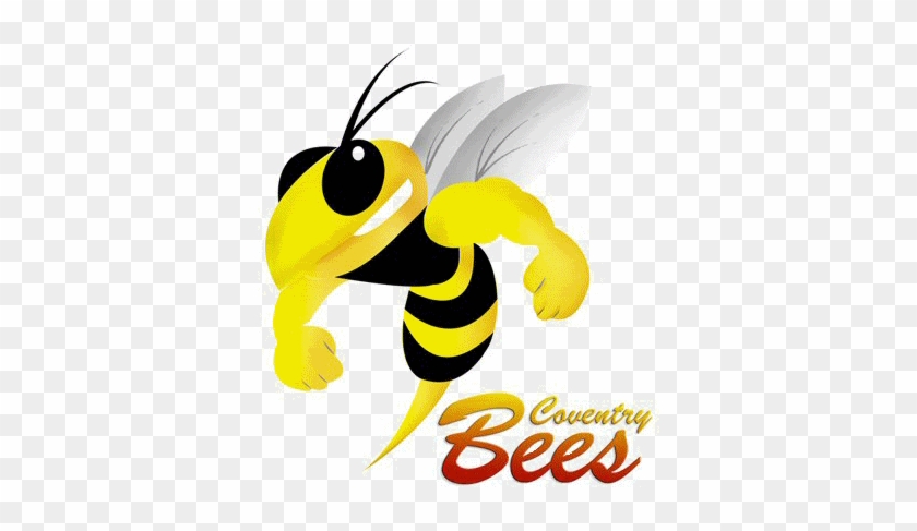 Fighting Bee Photo - Coventry Bees #1133693