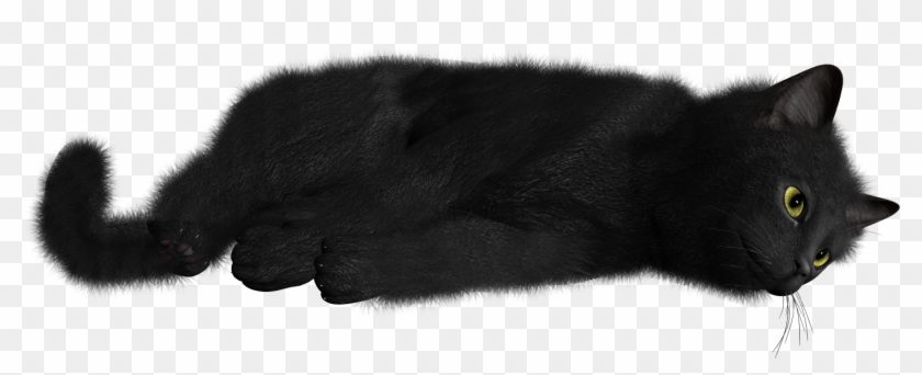 Black Cat Clipart Transparent - Cat #1133893