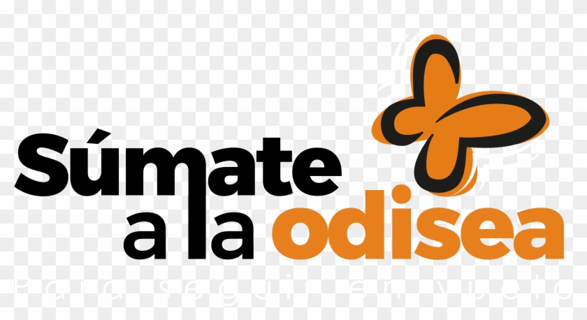 Súmate A La Odisea - Privacy #1133968