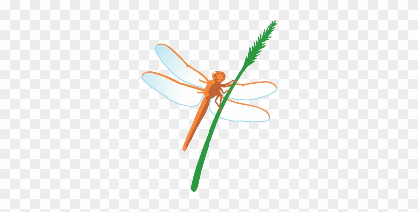 Dragonflies Clip Art #1134354