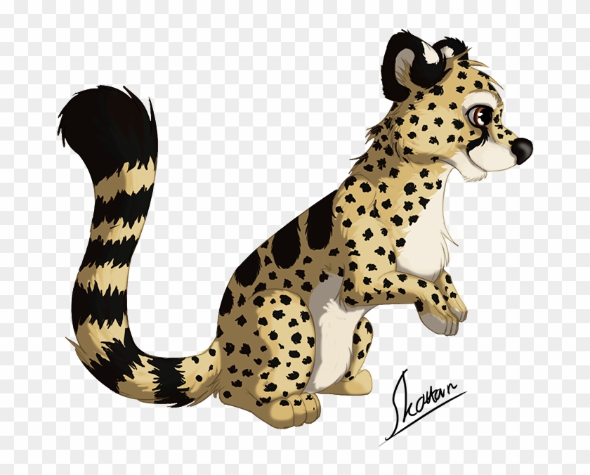 Meetah By Skottan - Meetah By Skottan #1134882