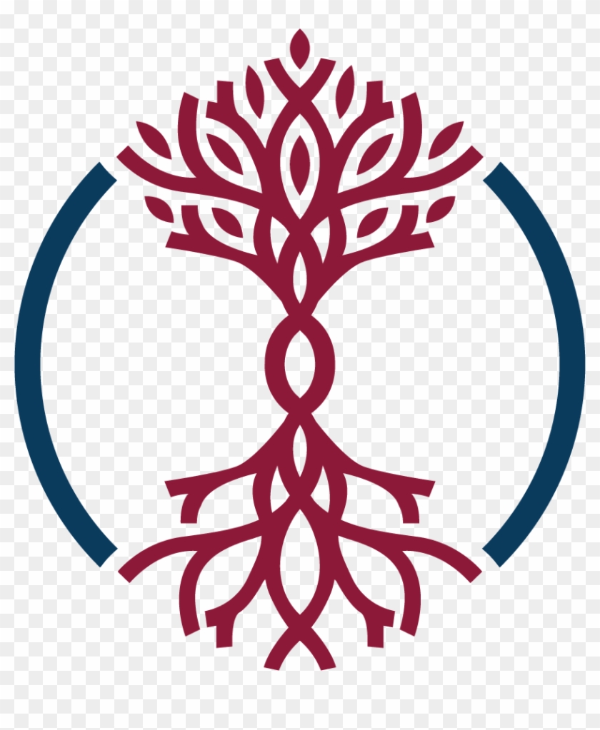 Branched Roots #1135157