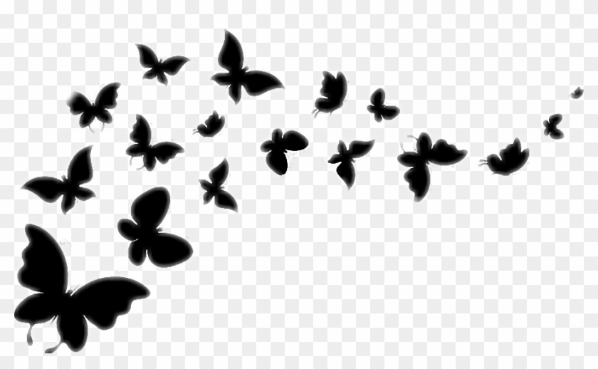 Butterfly Silhouette Blackandwhite Flying Butterflies - Butterflies Black And White Flying #1135158