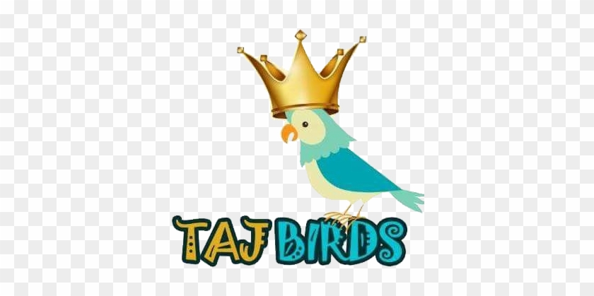 Clip Art #1135543