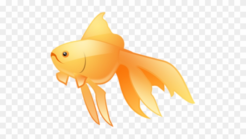Fish Png Image - Art #1136748