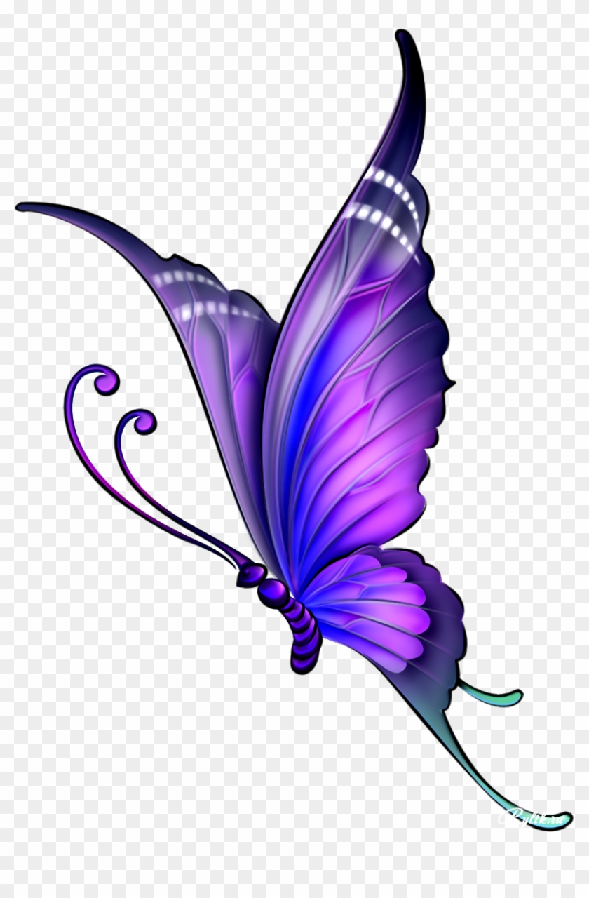 Butterfly Drawing Color Clip Art - Butterfly Image Drawing With Color #1138908