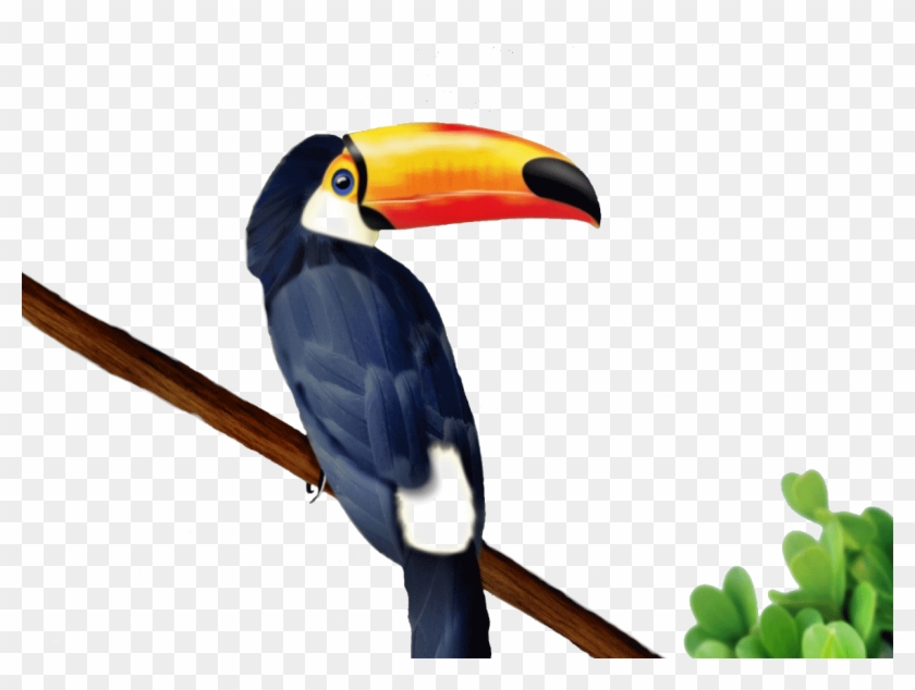 Keel Billed Toucan Coloring Page - Toucan Drawing #1138923