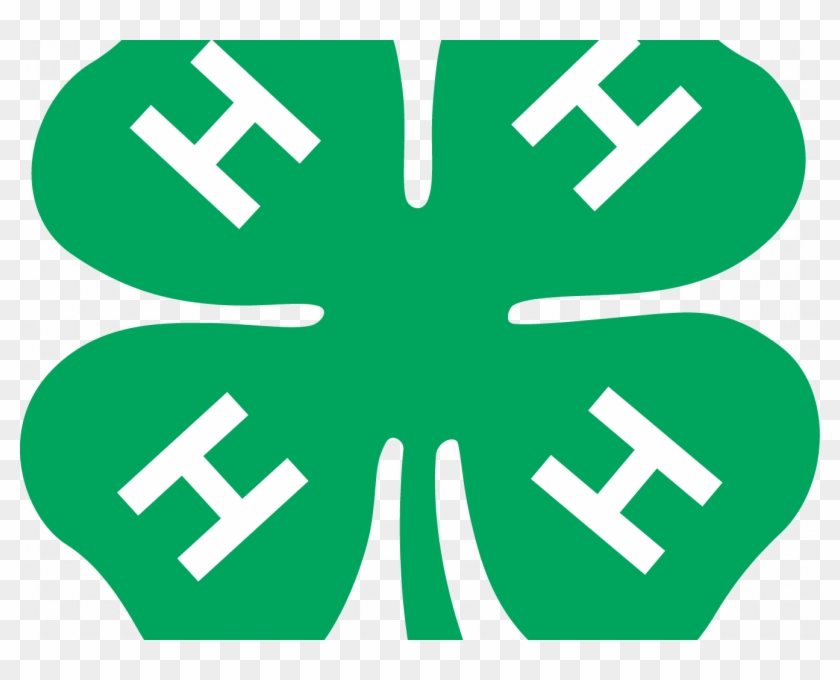 Download Good Looking 4 H Clipart - Download Good Looking 4 H Clipart #1139219
