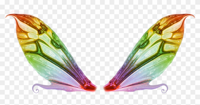Wagner Tamborin - Fairy Wings #1139700