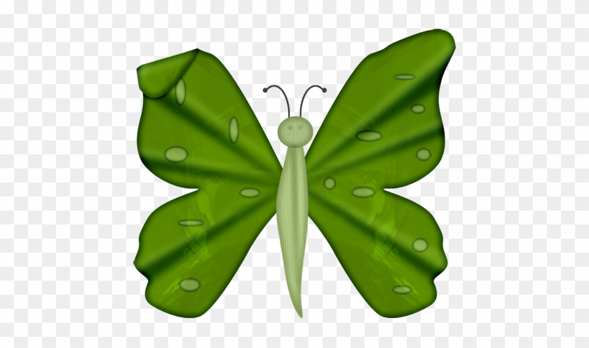 Scrap Vert - Lycaenid #1139708