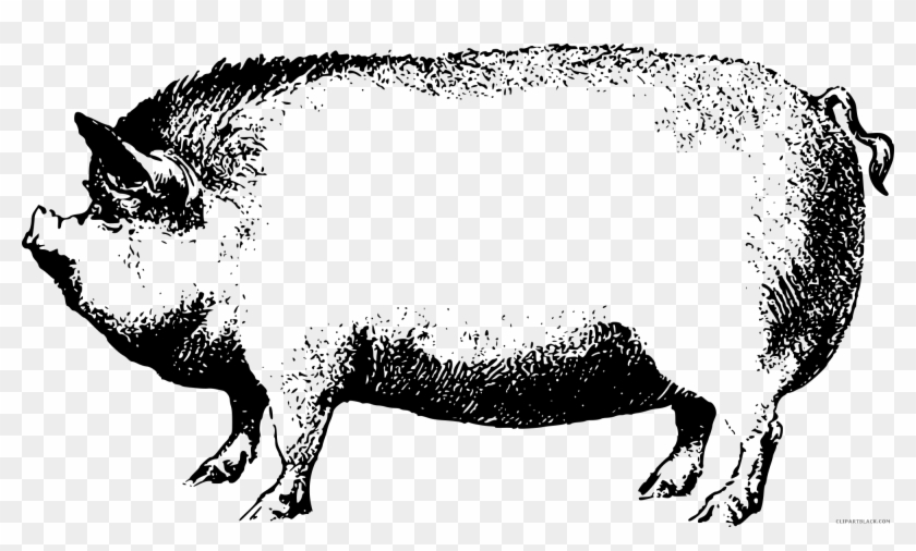 Black And White Pig Animal Free Black White Clipart - Black And White Pig Png #1140048