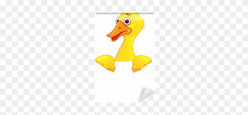 Duck #1140328