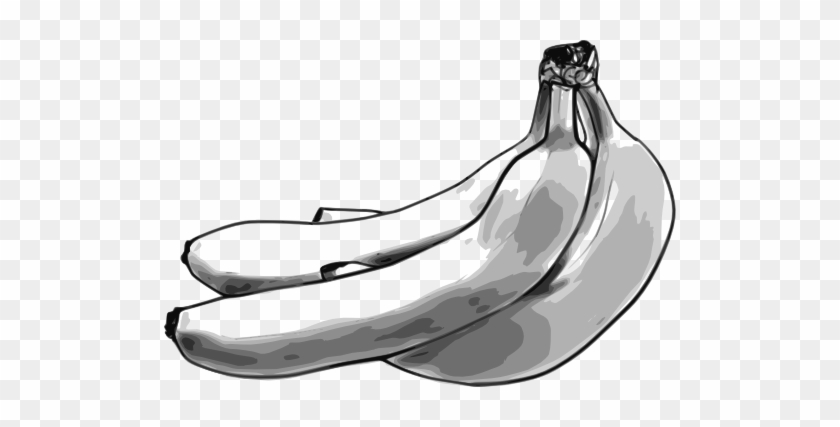 Bananas Sketch Shower Curtain #1140924
