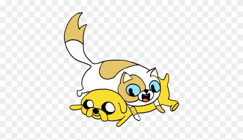 Jake And Cake Adventure Time #1141112