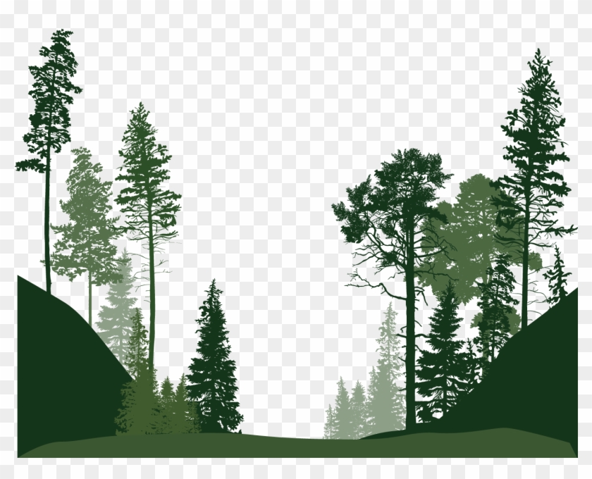 Forest Euclidean Vector Tree - Forest Tree Vector Png #1141386