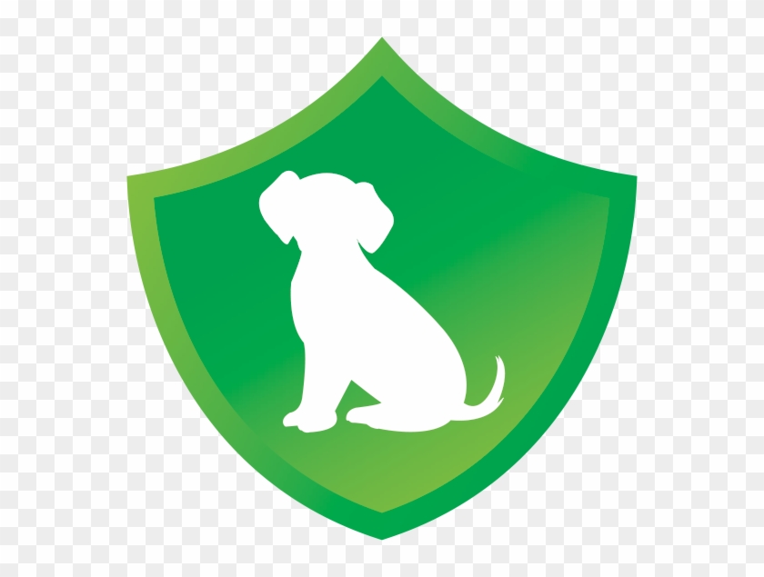 Safe For Your Puppy - Safe For Your Puppy #1141501