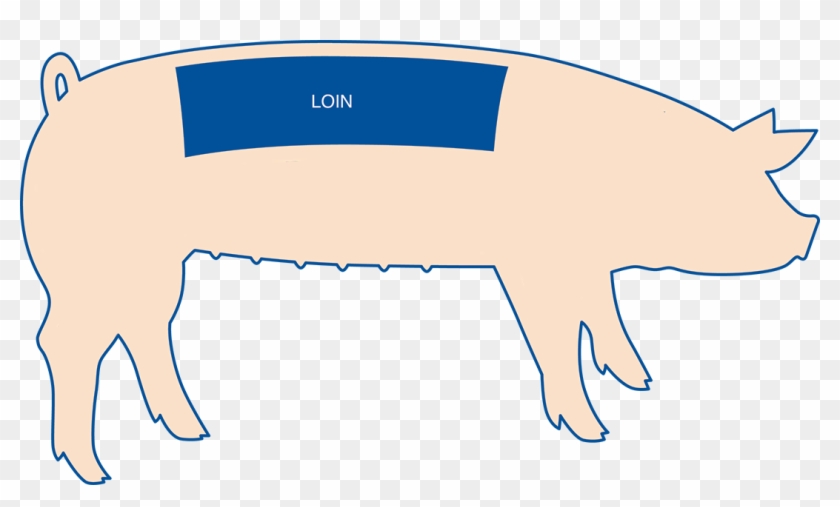 Pork Chops Are The Most Popular Cut From The Pork Loin, - Pork Chops Are The Most Popular Cut From The Pork Loin, #1143462