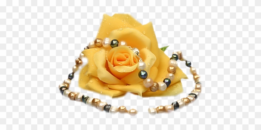 Yellow Roses - Schmetterling Auf Rose Gif #1143801