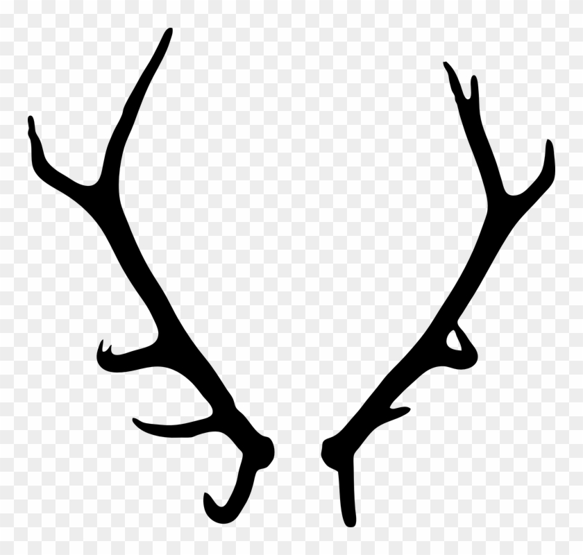 Antler Clipart Wildlife - Antlers Transparent Background #190566