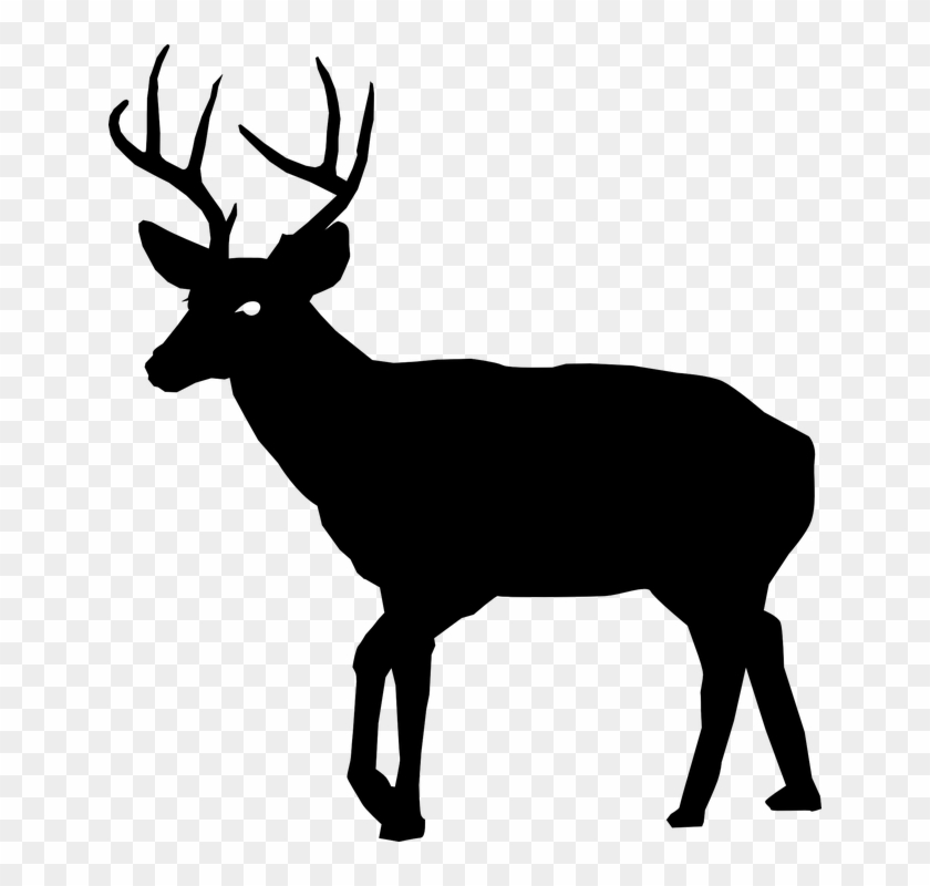 Free Vector Graphic - Silhouette Animals Png #190584